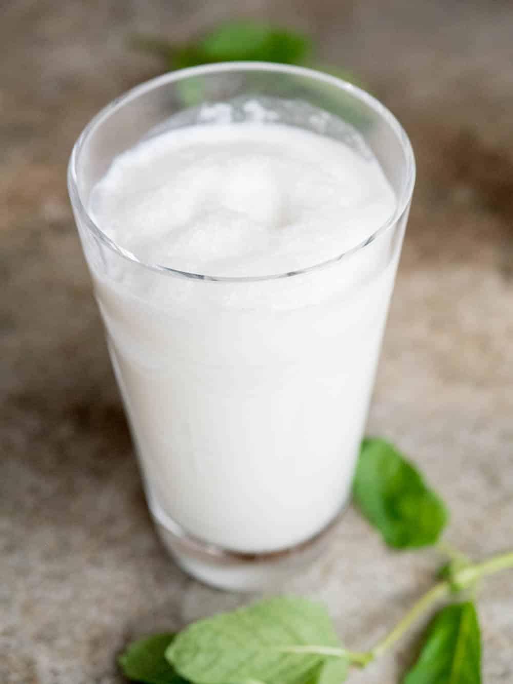 Leben Ayran